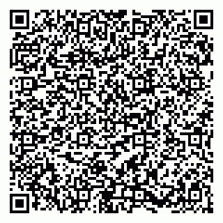 vCard 79580139131