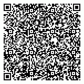 vCard 79580139133