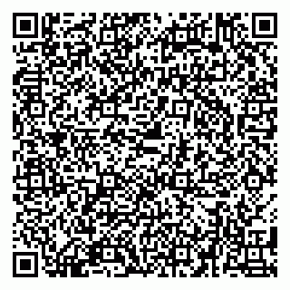 vCard 79580139173