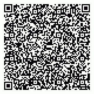 vCard 79580139207
