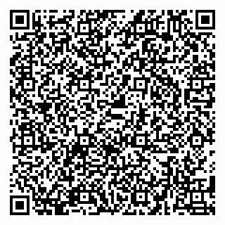 vCard 79580139217