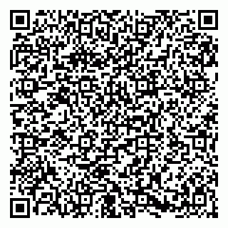 vCard 79580139265