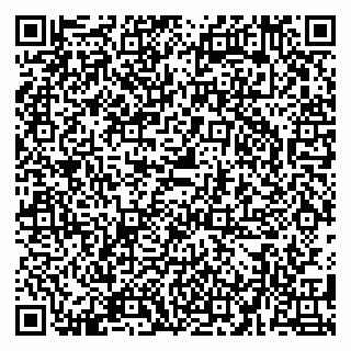 vCard 79580139311