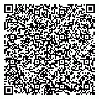 vCard 79580139313