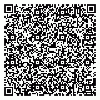 vCard 79580139331