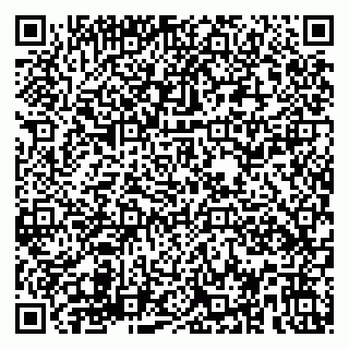 vCard 79580139333