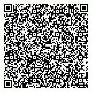 vCard 79580139351