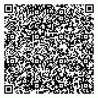 vCard 79580139353