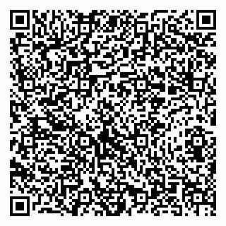 vCard 79580139374