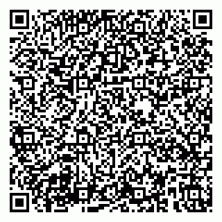 vCard 79580139379