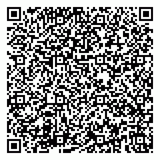 vCard 79580139381