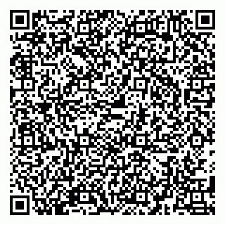 vCard 79580139384
