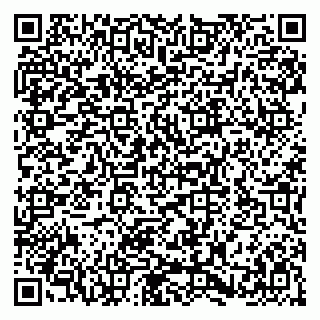 vCard 79580139385