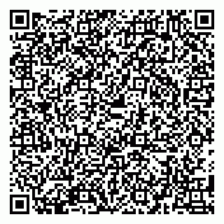 vCard 79580139387