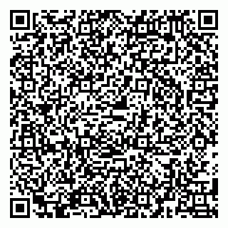 vCard 79580139388