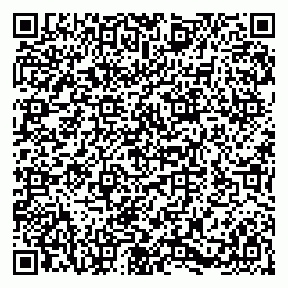 vCard 79580139407