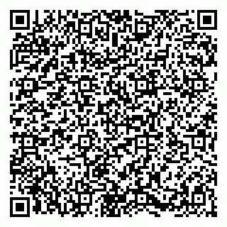 vCard 79580139410