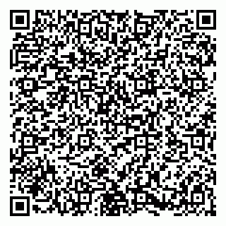 vCard 79580139503