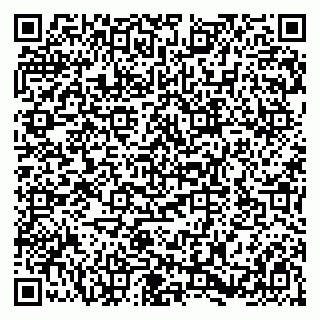 vCard 79580139513