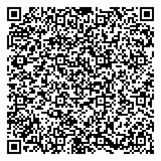 vCard 79580139519