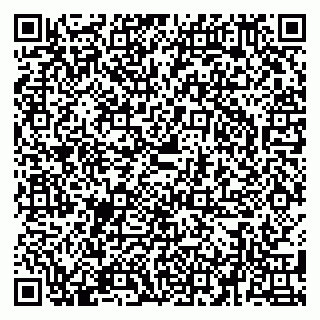 vCard 79580139520
