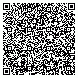 vCard 79580139537