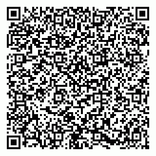 vCard 79580139603