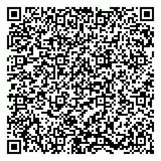 vCard 79580139635