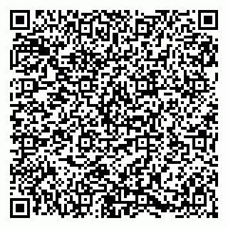 vCard 79580139667