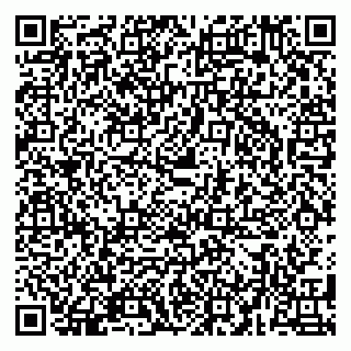 vCard 79580139711