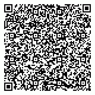 vCard 79580139727