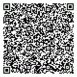 vCard 79580139729