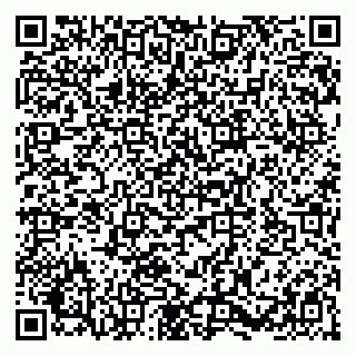 vCard 79580139738