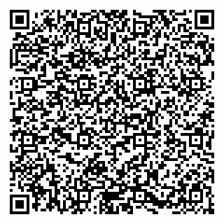 vCard 79580139819