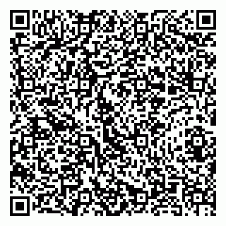 vCard 79580139833