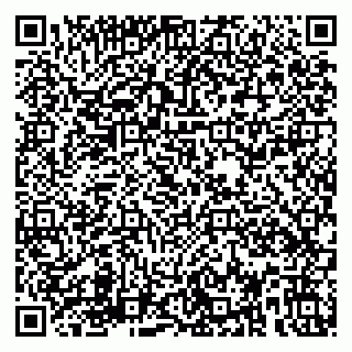 vCard 79580139853