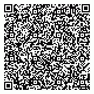 vCard 79580139881
