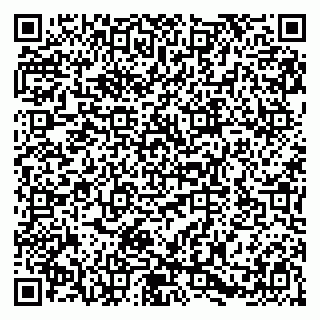vCard 79580139968