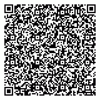 vCard 79580139981