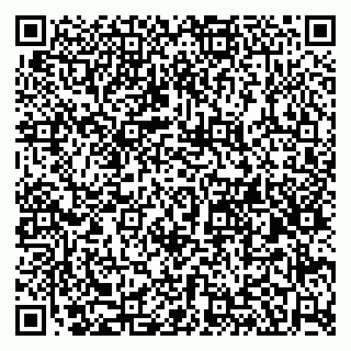 vCard 79580260013