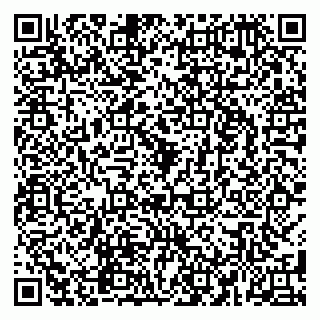 vCard 79580260018
