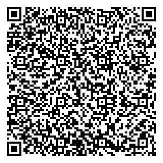 vCard 79580260019
