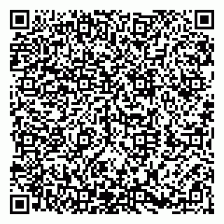 vCard 79580260020