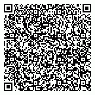 vCard 79580260033