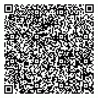 vCard 79580260035