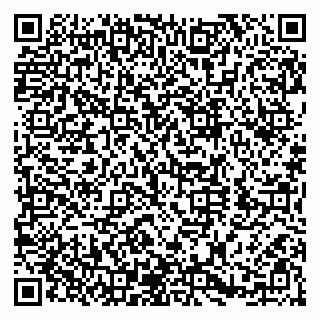 vCard 79580260049