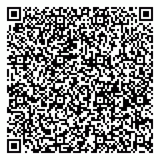 vCard 79580260051