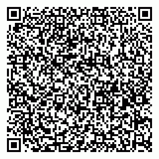 vCard 79580260085