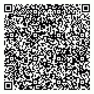 vCard 79580260100