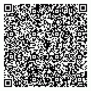vCard 79580260125